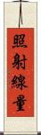 照射線量 Scroll