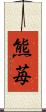 熊苺 Scroll