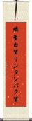 燐蛋白質 Scroll