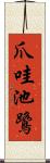 爪哇池鷺 Scroll