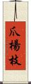 爪楊枝 Scroll