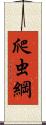 爬虫綱 Scroll