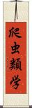 爬虫類学 Scroll