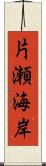 片瀬海岸 Scroll