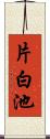 片白池 Scroll