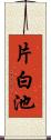 片白池 Scroll