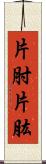 片肘;片肱 Scroll