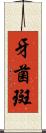 牙菌斑 Scroll