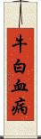 牛白血病 Scroll