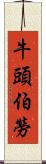 牛頭伯勞 Scroll