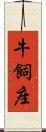 牛飼座 Scroll