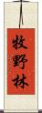 牧野林 Scroll
