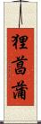 狸菖蒲 Scroll