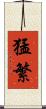 猛繁 Scroll