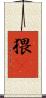猥獕 Scroll