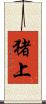 猪上 Scroll