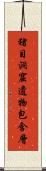 猪目洞窟遺物包含層 Scroll