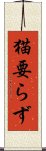 猫要らず Scroll