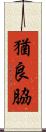 猶良脇 Scroll
