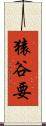 猿谷要 Scroll