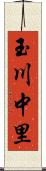 玉川中里 Scroll