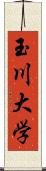 玉川大学 Scroll