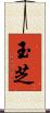 玉芝 Scroll