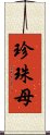 珍珠母 Scroll