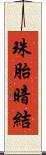 珠胎暗結 Scroll