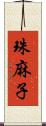 珠麻子 Scroll