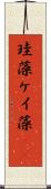 珪藻 Scroll