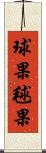 球果 Scroll
