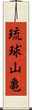 琉球山亀 Scroll