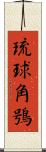 琉球角鴞 Scroll
