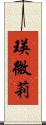 瑛微莉 Scroll