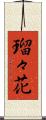 瑠々花 Scroll