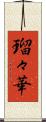 瑠々華 Scroll
