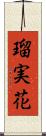 瑠実花 Scroll