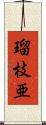 瑠枝亜 Scroll