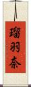 瑠羽奈 Scroll