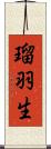 瑠羽生 Scroll