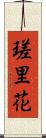 瑳里花 Scroll