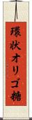 環状オリゴ糖 Scroll