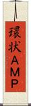 環状ＡＭＰ Scroll