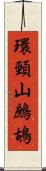 環頸山鷓鴣 Scroll