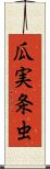 瓜実条虫 Scroll