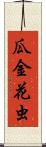 瓜金花虫 Scroll