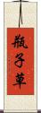 瓶子草 Scroll