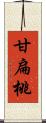 甘扁桃 Scroll
