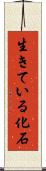 生きている化石 Scroll